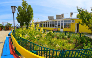 База отдыха «Карпаты» в Затоке на первой линии ☎ +38 050 4901390